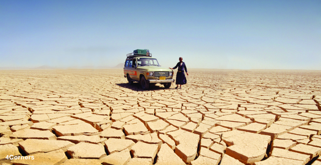 enewsletter winter 13_html_m2e358517