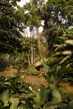 Picture by Tony Annis: a green Pescador house