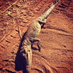 Anh Nguyen - A Cultural Insight of Madagascar’s East, Central & Western Landscape 3