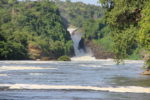 David Redford - Murchison Falls