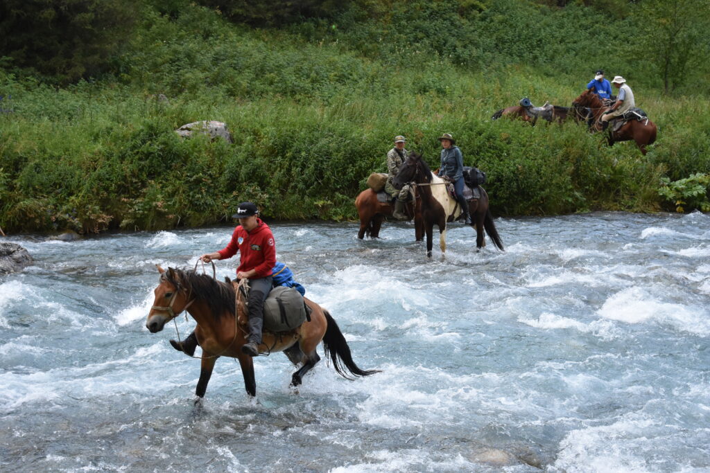 Nick Fielding - Tracing the Atkinsons On horseback in Central Asia and Siberia