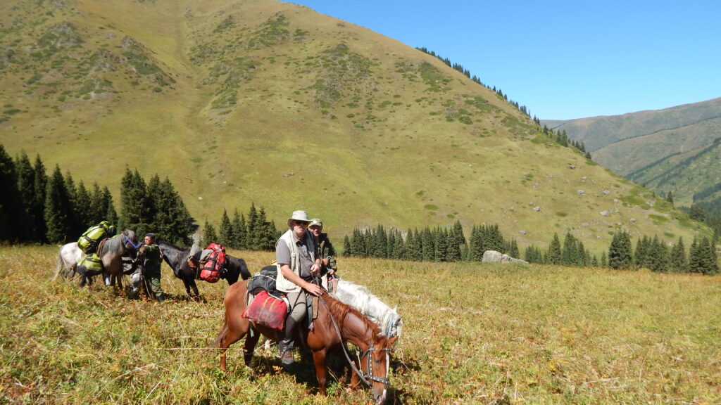 Nick Fielding - Tracing the Atkinsons On horseback in Central Asia and Siberia